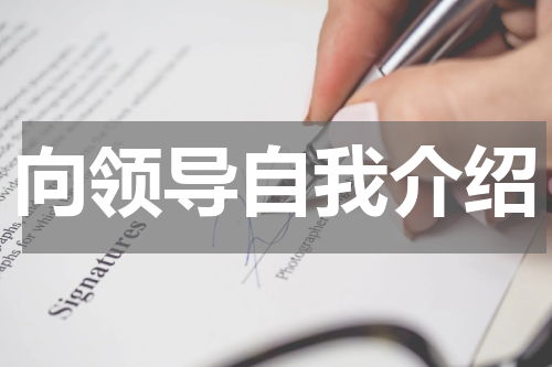 向领导自我介绍