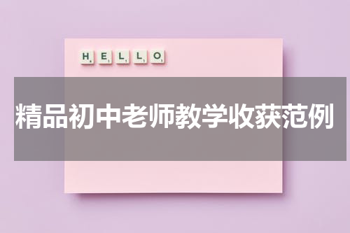 精品初中老师教学收获范例