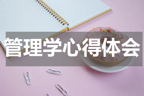 管理学心得体会