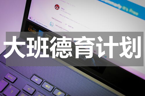 大班德育计划