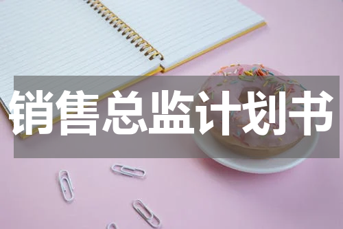 销售总监计划书