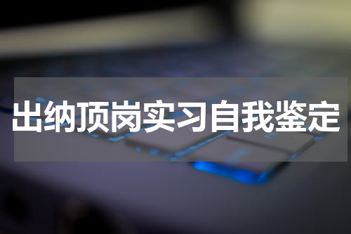 出纳顶岗实习自我鉴定