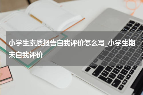 小学生素质报告自我评价怎么写_小学生期末自我评价