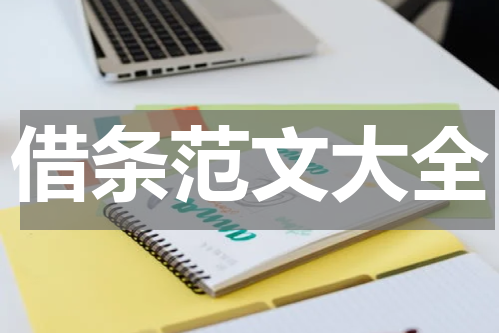 借条范文大全