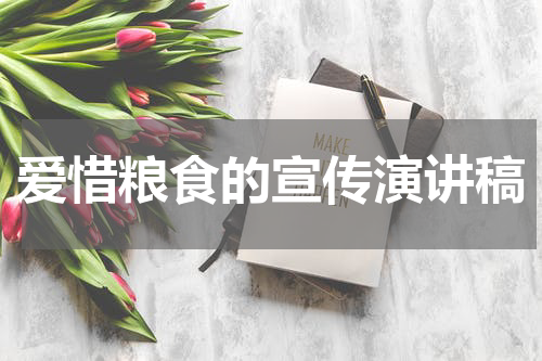 爱惜粮食的宣传演讲稿
