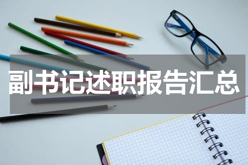 副书记述职报告汇总