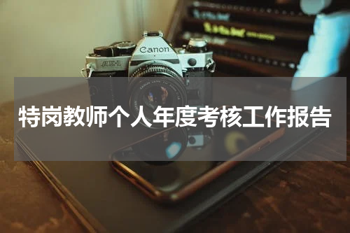 特岗教师个人年度考核工作报告