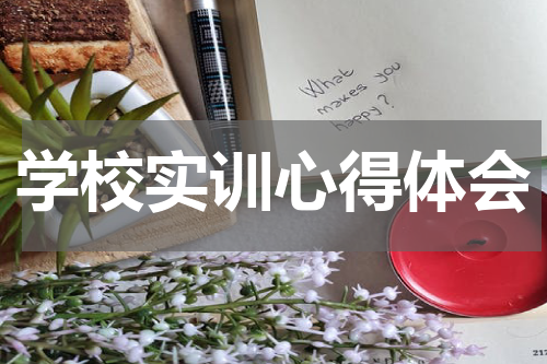 学校实训心得体会