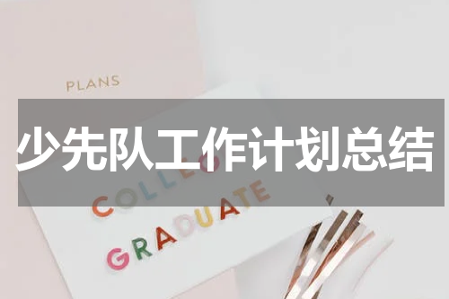 少先队工作计划总结