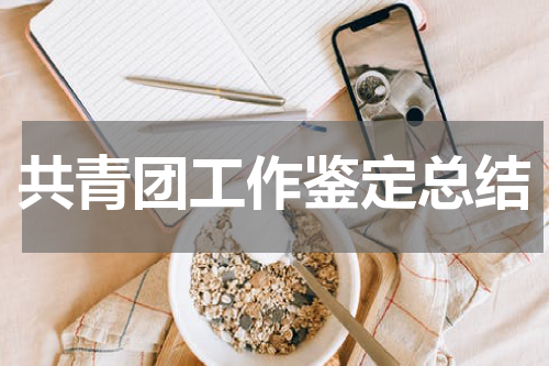 共青团工作鉴定总结