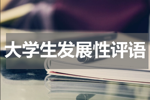 大学生发展性评语