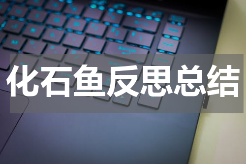 化石鱼反思总结