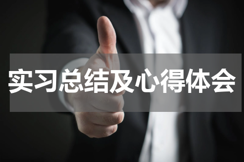 实习总结及心得体会