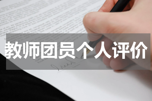 教师团员个人评价