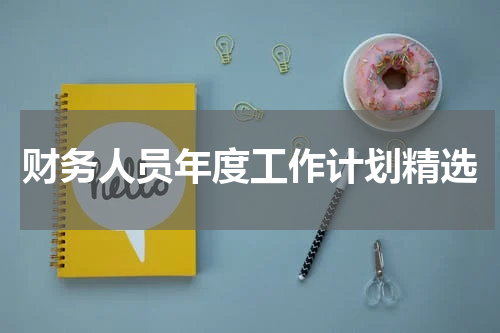 财务人员年度工作计划精选