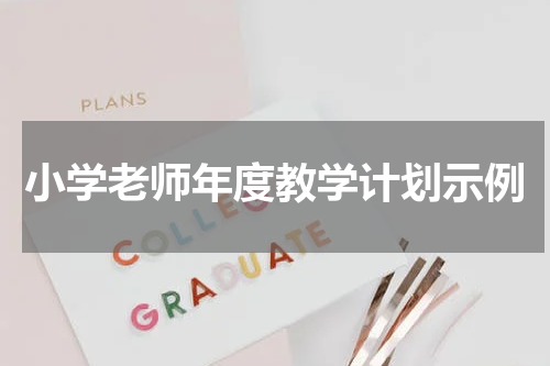 小学老师年度教学计划示例