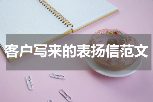 客户写来的表扬信范文