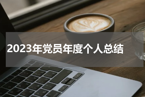 2023年党员年度个人总结