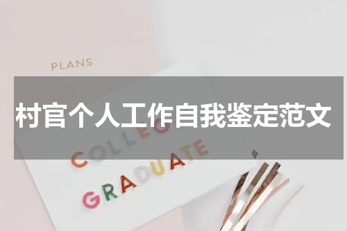 村官个人工作自我鉴定范文