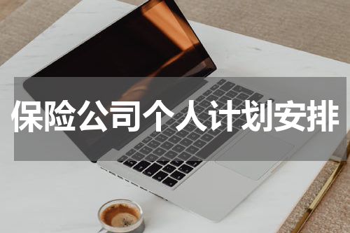 保险公司个人计划安排