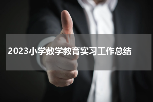 2023小学数学教育实习工作总结