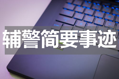 辅警简要事迹