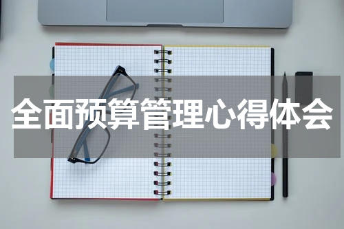全面预算管理心得体会