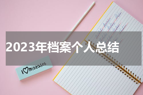 2023年档案个人总结