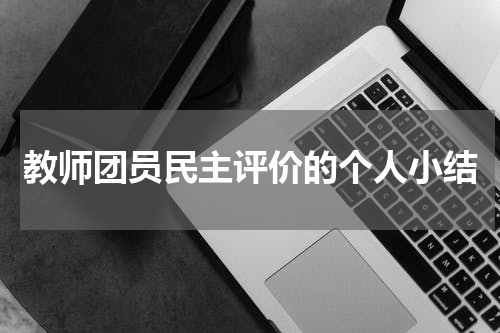 教师团员民主评价的个人小结