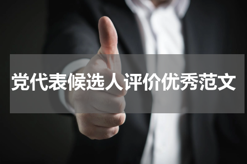 党代表候选人评价优秀范文