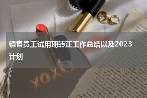 销售员工试用期转正工作总结以及2023计划