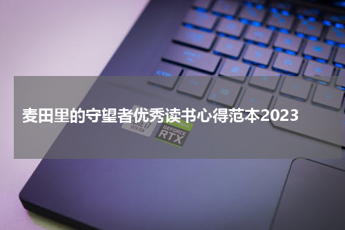 麦田里的守望者优秀读书心得范本2023