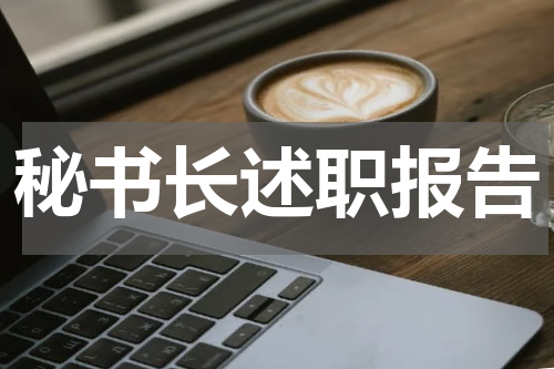 秘书长述职报告