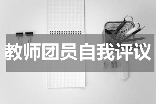 教师团员自我评议