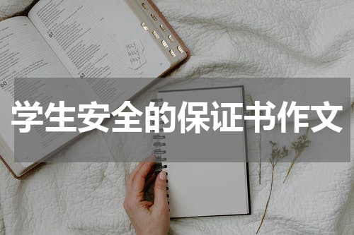 学生安全的保证书作文