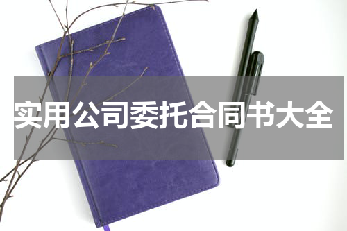 实用公司委托合同书大全
