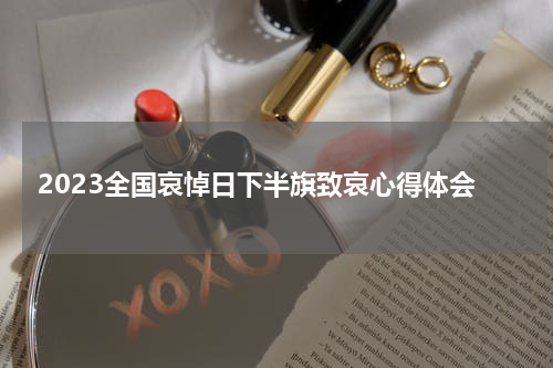 2023全国哀悼日下半旗致哀心得体会