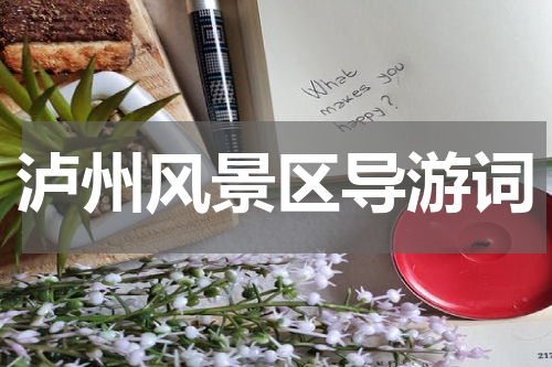泸州风景区导游词