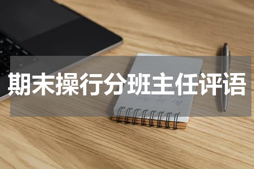 期末操行分班主任评语