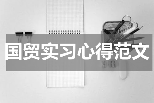 国贸实习心得范文