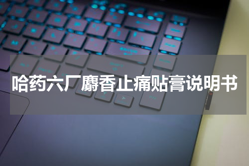 哈药六厂麝香止痛贴膏说明书