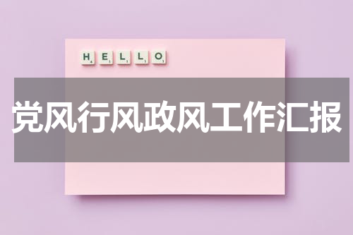 党风行风政风工作汇报