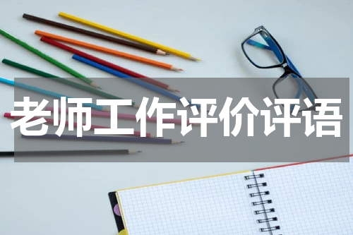 老师工作评价评语