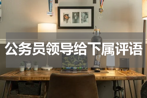 公务员领导给下属评语