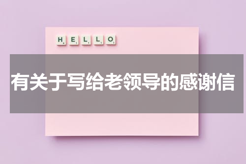 有关于写给老领导的感谢信