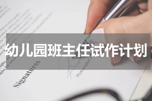幼儿园班主任试作计划