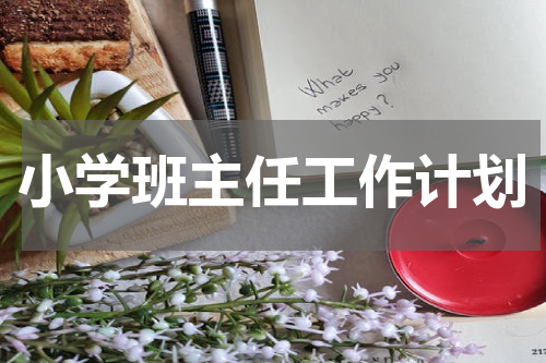 小学班主任工作计划