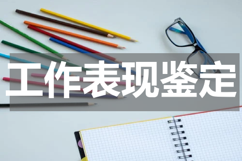 工作表现鉴定