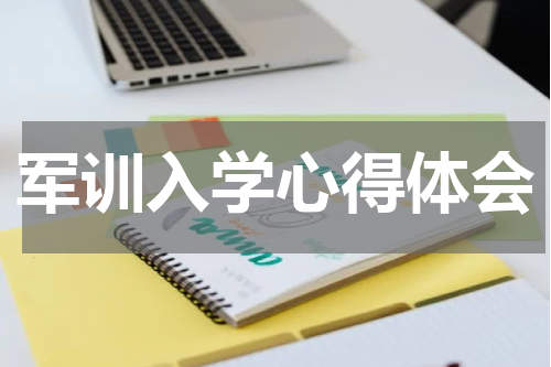 军训入学心得体会