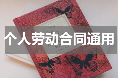 个人劳动合同通用